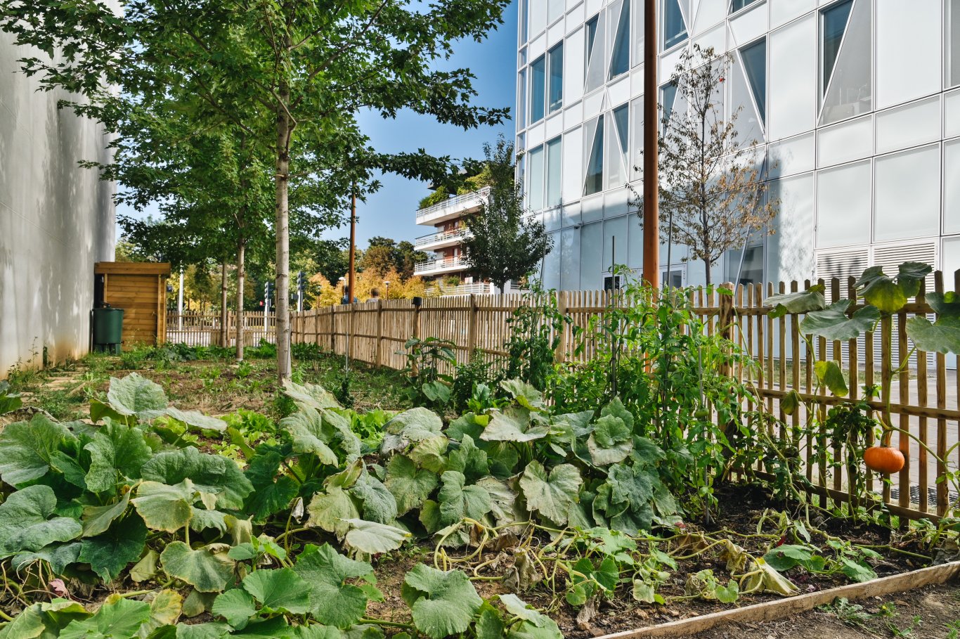 Bac de permaculture en bois 100% naturel