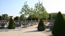 Allées du cimetière