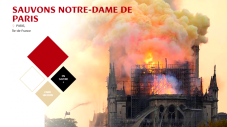 Le Conseil municipal qui se réunit jeudi adopte une délibération accordant une subvention exceptionnelle à La Fondation du Patrimoine à hauteur de 1€ par habitant, soit une somme totale de 70000€.