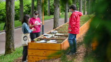 🌿 Ouverture du jardin partagé du Parc Henri Barbusse