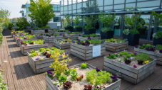 Le siège de BNP Paribas Real Estate obtient le label BiodiverCity Life