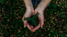 unsplash