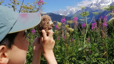Cet été, les enfants inscrits au séjour Balcon du Mont-Blanc du CLAVIM bénéficient d’ateliers culturels avec Bruno Liance, l’auteur de « Nina »