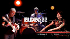 Le groupe Eldegee