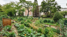 Jardins partagés : succombez à l’agriculture urbaine  !