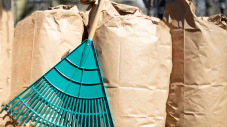 collecte déchets verts