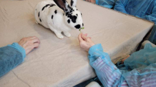 Des animaux à l’hôpital pour recréer du lien