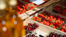 Marchés municipaux et commerces de proximité : les Isséens plébiscitent des lieux de vie essentiels