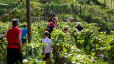 Le vin comme lien avec l’histoire de notre ville
