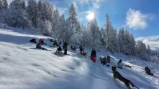 Nouvelle saison pour les classes d’environnement : cap sur la montagne cet hiver !