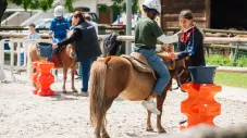 Activités équestres adaptées : "le poney ne juge pas !” 
