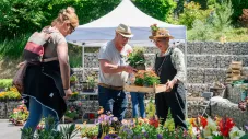La Campagne à Issy revient le 31 mai au jardin botanique