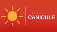 canicule