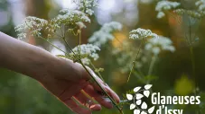 Les Glaneuses d'Issy : des rendez-vous mensuels d'animation autour des plantes sauvages 