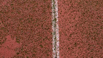 Exposition : Faire chemin(s)