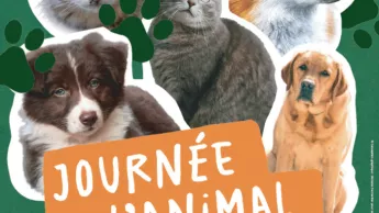 Journée de l'Animal en ville