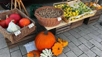 Marché des producteurs locaux
