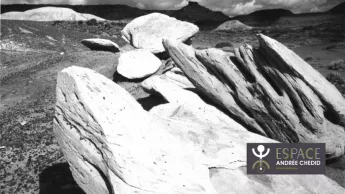 Exposition : Lorand Gaspar - Photographe