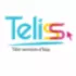 Logo Teliss