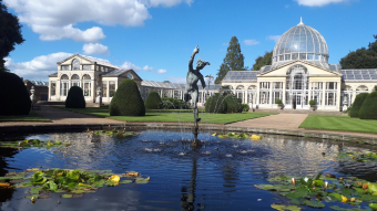 Hounslow - la roseraie ou Conservatory de Syon House