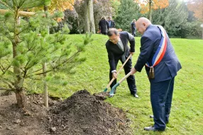 Dongcheng - Plantation d'un arbre de l'amitié à Issy (septembre 2017)