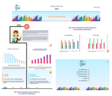Rapport financier en ligne
