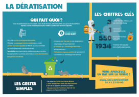 Infographie dératisation à Issy