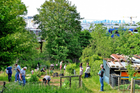 Jardin partagé à Issy