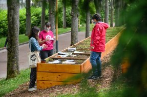 🌿 Ouverture du jardin partagé du Parc Henri Barbusse