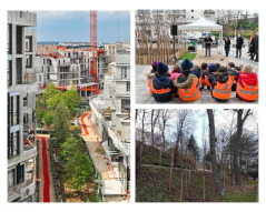 Forêts urbaines 2021
