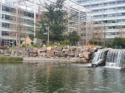 Chiswick Business Park - vue sur le bassin 