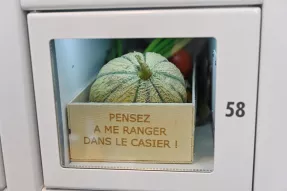 Un melon dans une clayette, à l'achat en libre-service.