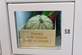 Un melon dans une clayette, à l'achat en libre-service.