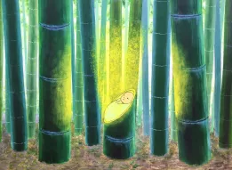 p09 Histoire de la princesse Kaguya - Illustration Aya Roppongi-Vecile