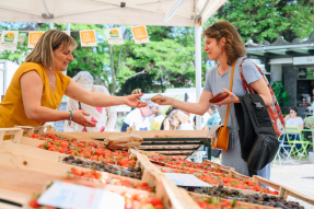 Marché du Lot