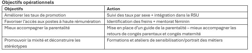Publication égalité femmes-hommes