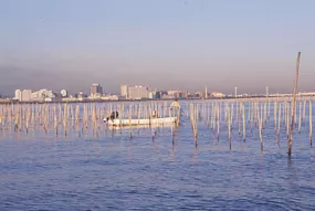 Port de pêche d'Ichikawa