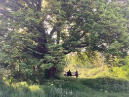 Catégorie 1 - Olivier Debaere - Sous le charme 