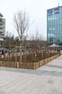 120 arbres plantés sur l'esplanade du Foncet