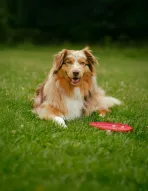 Categorie 3 - Youssefi Soukaina - Pause au vert