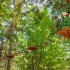 Sortie loisirs : Sherwood parc