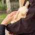 Ferme pédagogique en présence de l’équipe des bergeries d’Issy (jardin de l’hôpital)