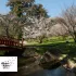 Visite guidée au jardin du Musée départemental Albert-Kahn (à partir de 7 ans) RDV sur place