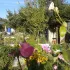 Visite libre des Jardins familiaux de la pointe de l’île