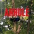 Sortie loisirs : Parc Xtrem Aventures à Cergy