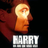 Harry, un ami qui vous veut du bien