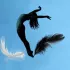 Spectacle : Le Lac des Cygnes