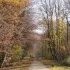 Randonnée : symphonie d'automne