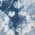 Exposition : Shibori, l'indigo révélé