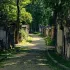 Visite du cimetière du père Lachaise